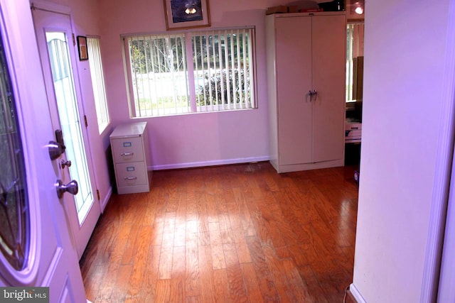 interior space featuring wood-type flooring