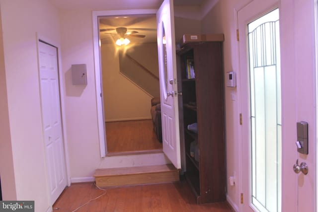 hallway featuring hardwood / wood-style flooring