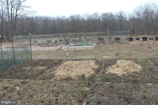 view of yard featuring a rural view