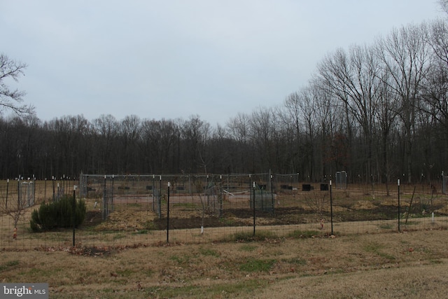 view of yard with a rural view