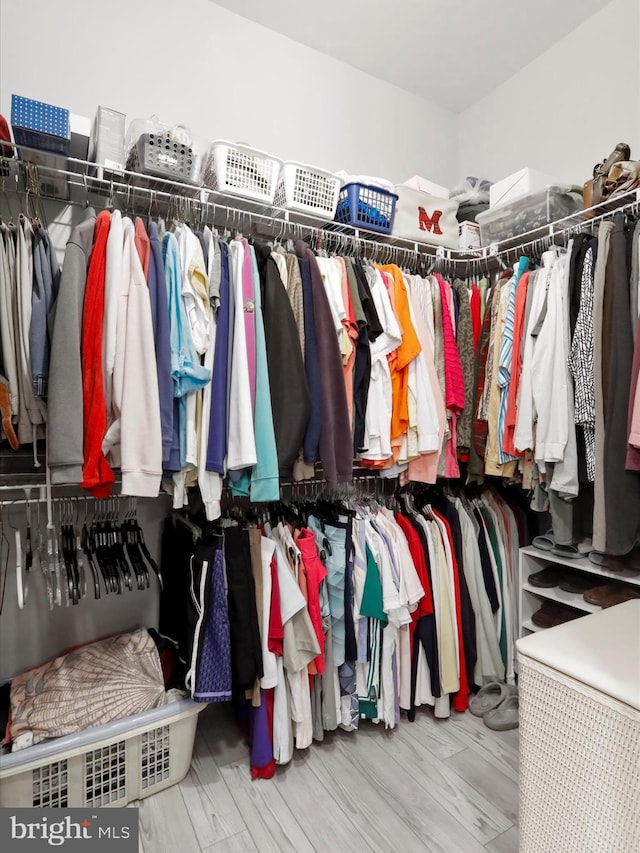 walk in closet featuring hardwood / wood-style floors