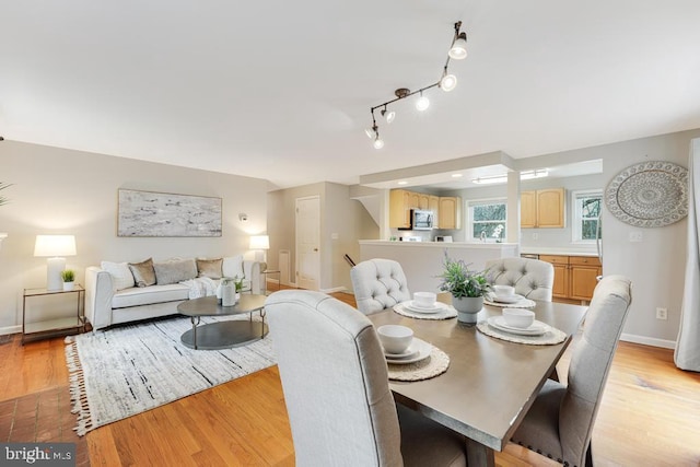 dining room with light hardwood / wood-style floors