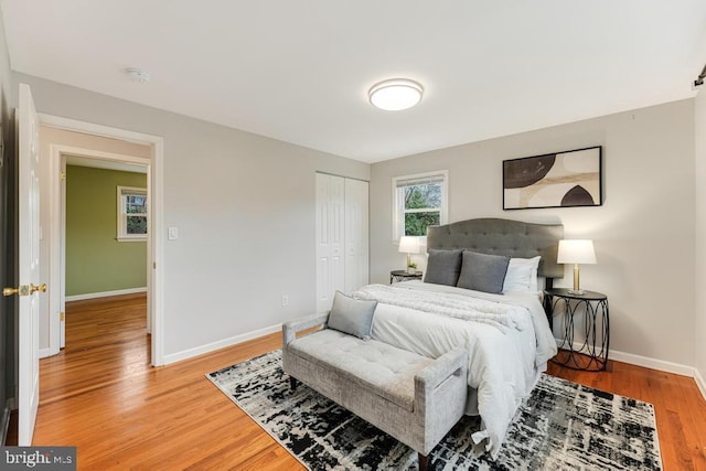 bedroom featuring wood-type flooring and a closet