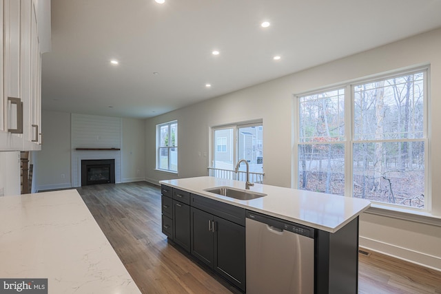 kitchen with dark cabinets, wood finished floors, stainless steel dishwasher, a sink, and recessed lighting