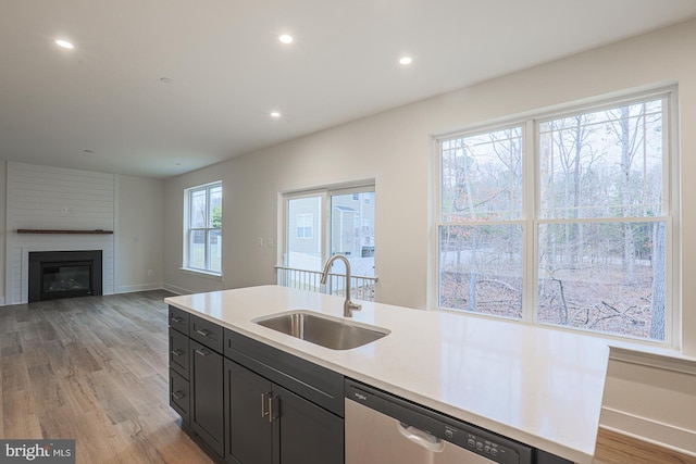 kitchen with light countertops, stainless steel dishwasher, light wood-style floors, a sink, and dark cabinets