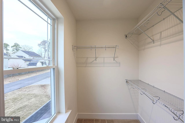 walk in closet featuring carpet