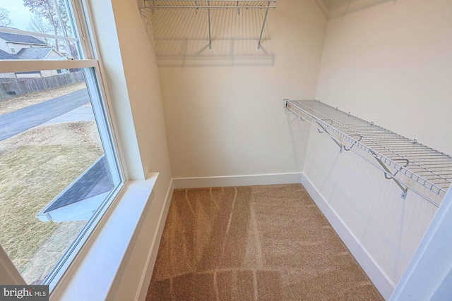 spacious closet with carpet