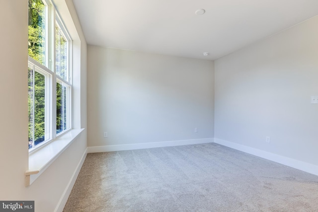 carpeted spare room with a wealth of natural light