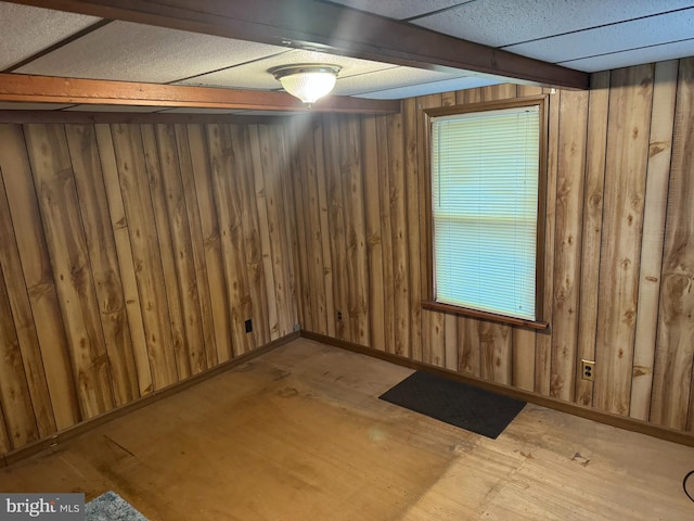 basement with wooden walls