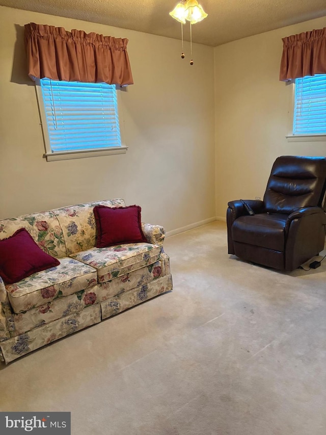 carpeted living room with a textured ceiling