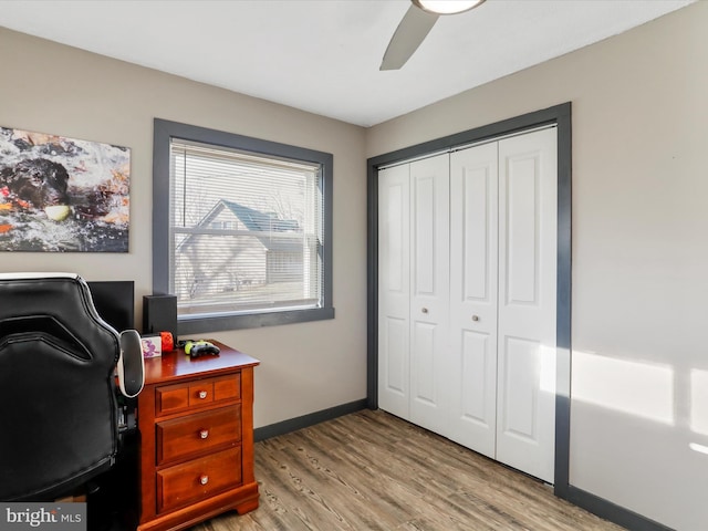 office space featuring ceiling fan and light wood-type flooring