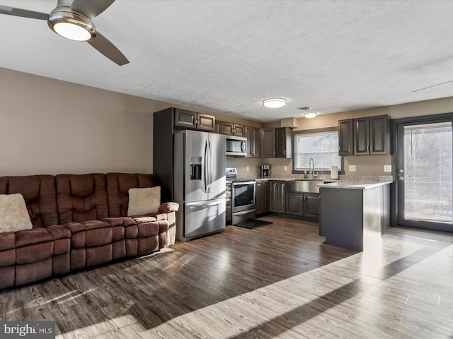 kitchen with ceiling fan, plenty of natural light, stainless steel appliances, and dark hardwood / wood-style floors