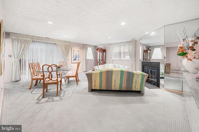 carpeted living room with a textured ceiling