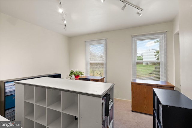 clothes washing area with light colored carpet and track lighting