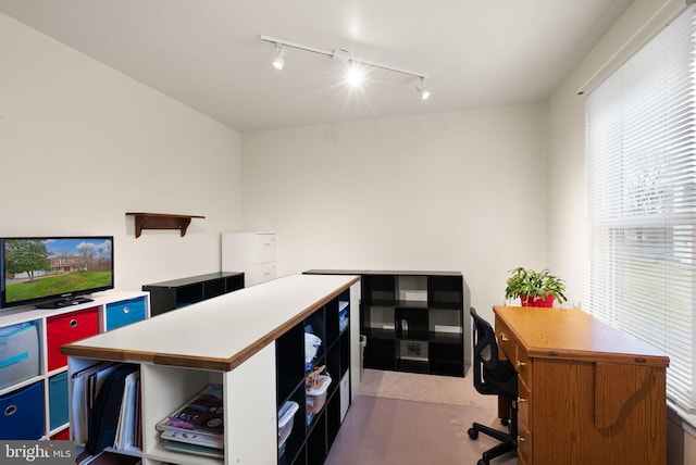 carpeted office with track lighting