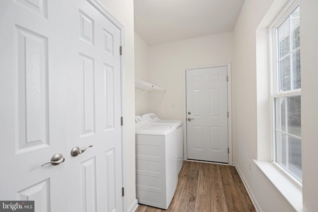 washroom with wood-type flooring and washing machine and clothes dryer