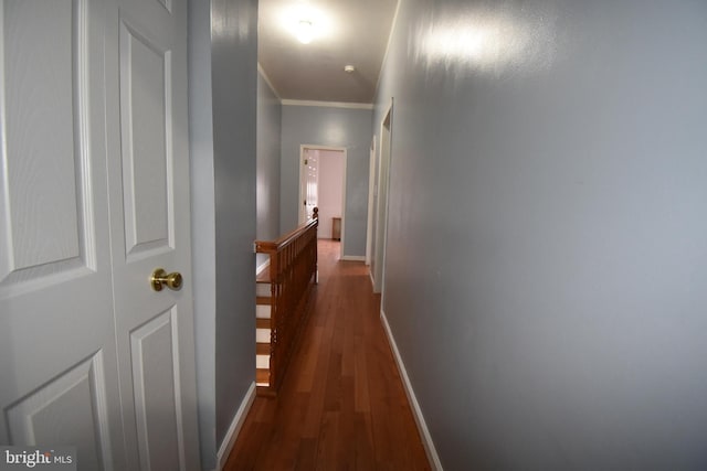 hallway featuring dark hardwood / wood-style floors and crown molding