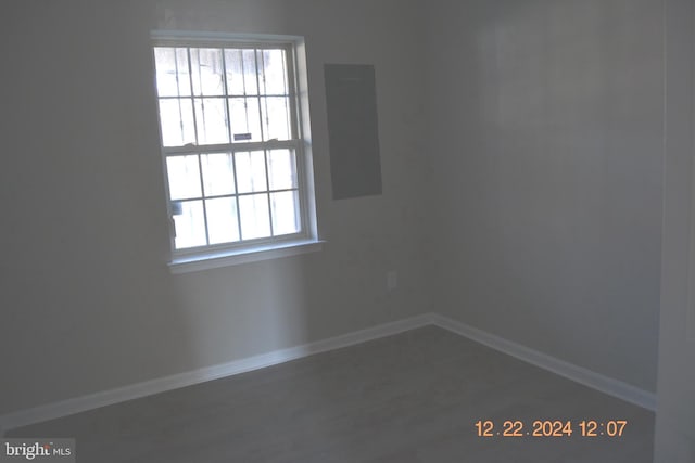 spare room with wood-type flooring