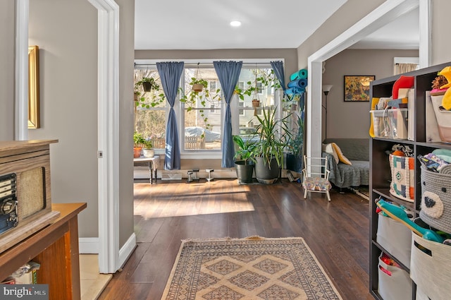 foyer entrance featuring dark wood-type flooring