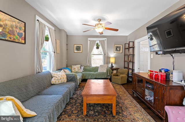 living room featuring ceiling fan and dark hardwood / wood-style floors