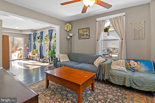 living room featuring hardwood / wood-style flooring and ceiling fan