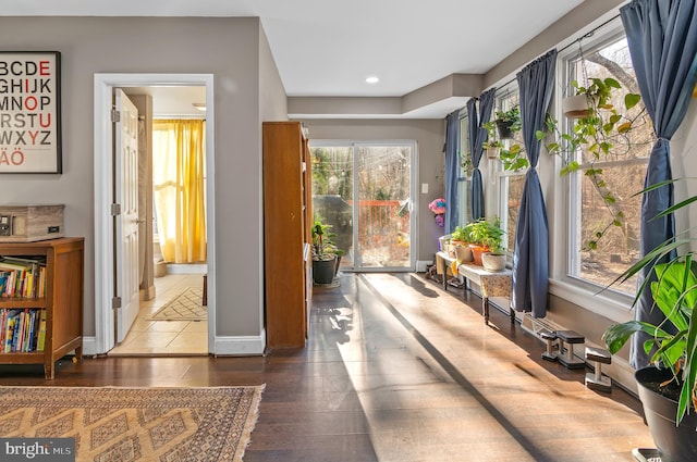 hallway with dark wood-type flooring and a healthy amount of sunlight