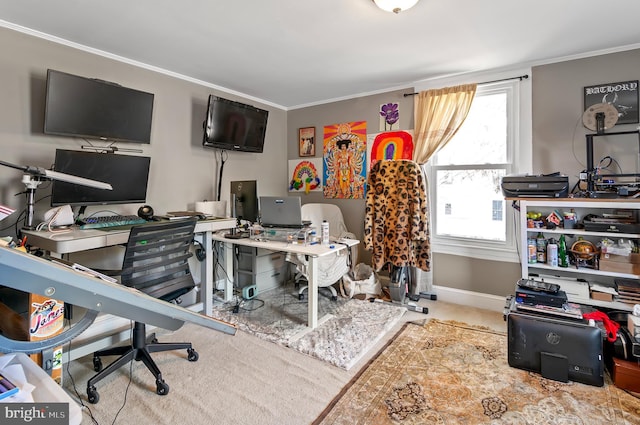 carpeted home office with crown molding