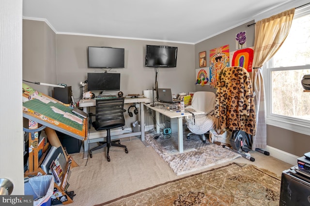 home office featuring carpet floors and ornamental molding