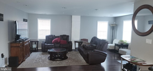 living room featuring dark hardwood / wood-style flooring