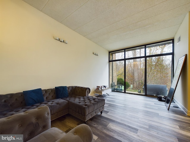 living room featuring hardwood / wood-style floors and a wall of windows