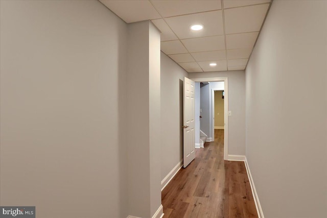 hall featuring a paneled ceiling, recessed lighting, baseboards, and wood finished floors