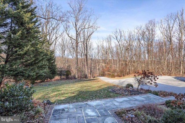 view of yard featuring a forest view