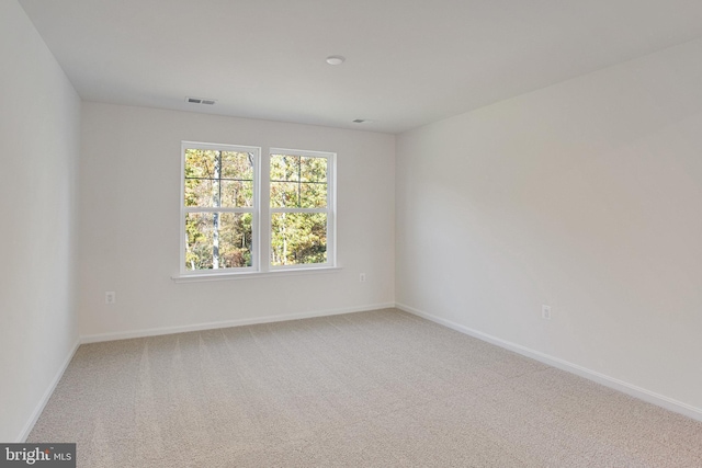 spare room featuring carpet floors