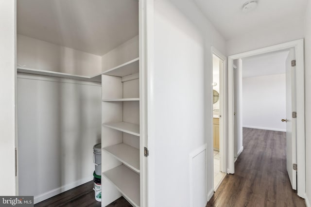 spacious closet featuring dark hardwood / wood-style flooring