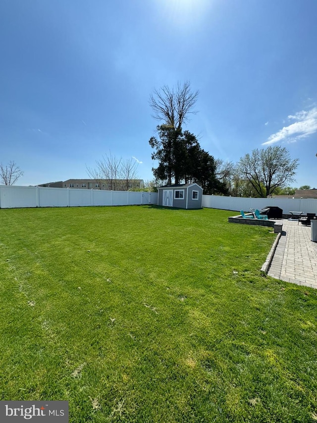 view of yard with a patio area and a storage unit