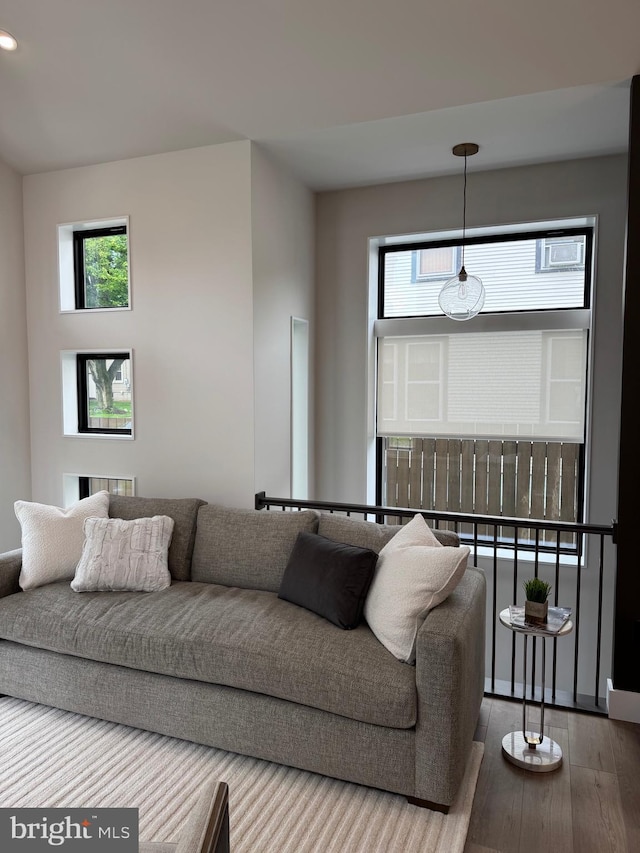 256 S Cedar St, Lititz, PA 17543 - living room featuring wood finished floors, healthy amount of natural light, and recessed lighting