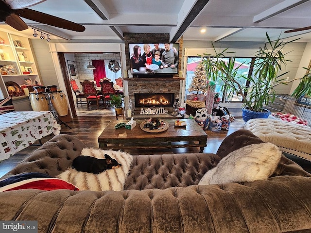 living room featuring beamed ceiling, hardwood / wood-style floors, a stone fireplace, and ceiling fan