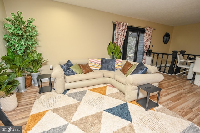 living room featuring light wood-type flooring