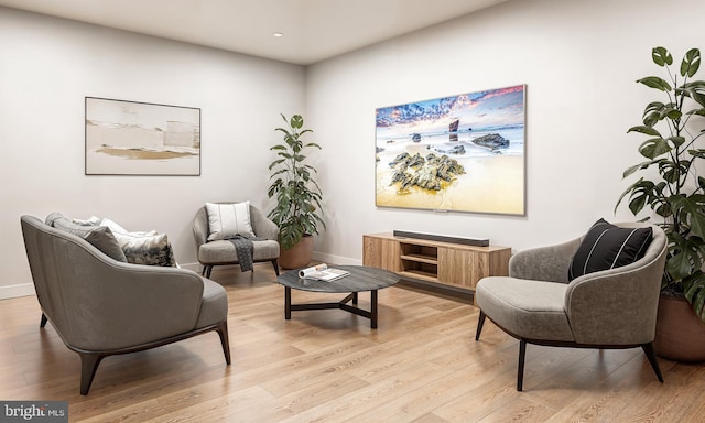 living area featuring light hardwood / wood-style floors