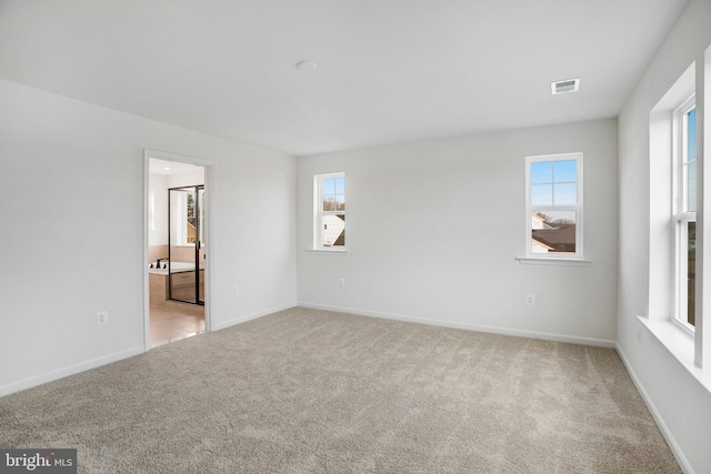 carpeted empty room featuring a wealth of natural light