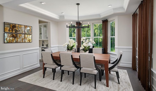 dining room featuring a raised ceiling, plenty of natural light, and hardwood / wood-style flooring