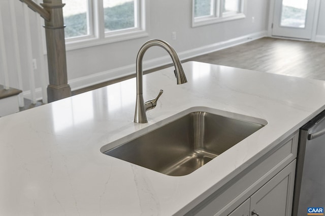 details with wood-type flooring and sink