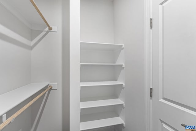 view of walk in closet