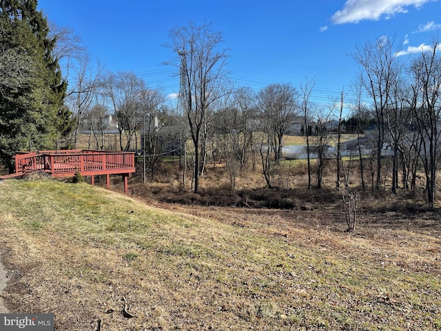 view of yard featuring a wooden deck