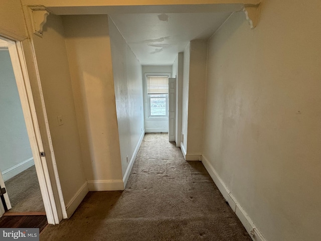 hallway featuring carpet flooring