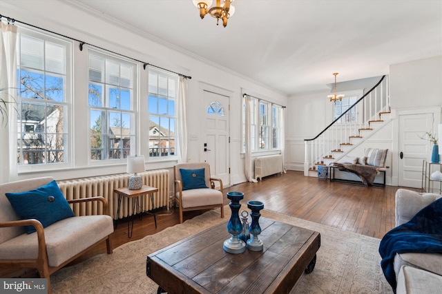 living room with hardwood / wood-style floors, a healthy amount of sunlight, radiator, and an inviting chandelier