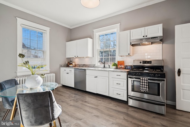 kitchen with decorative backsplash, white cabinetry, sink, and appliances with stainless steel finishes