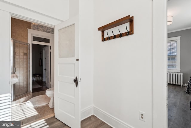 corridor featuring radiator, crown molding, and dark wood-type flooring