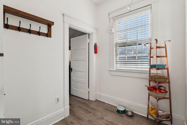 interior space with hardwood / wood-style flooring