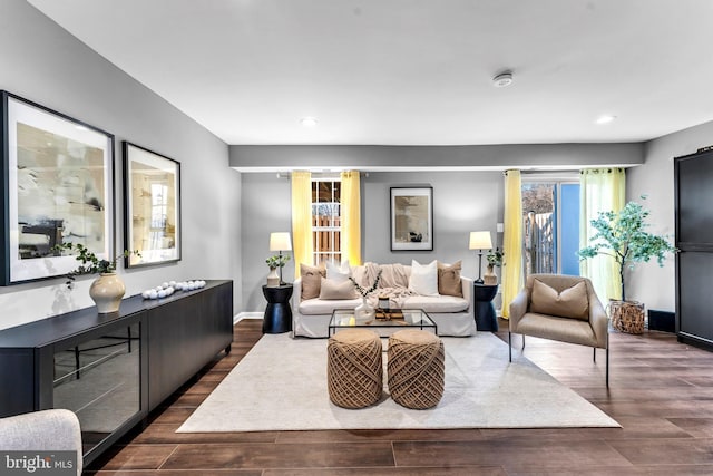 living room featuring dark wood-type flooring